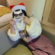 ヒメ日記 2025/12/25 11:48 投稿 神城えりか 五十路マダム愛されたい熟女たち 福山店(カサブランカグループ)