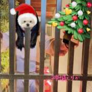 ヒメ日記 2025/12/25 18:06 投稿 神城えりか 五十路マダム愛されたい熟女たち 福山店(カサブランカグループ)