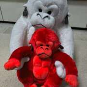 ヒメ日記 2026/01/06 17:56 投稿 神城えりか 五十路マダム愛されたい熟女たち 福山店(カサブランカグループ)