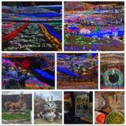 ヒメ日記 2026/01/09 07:46 投稿 神城えりか 五十路マダム愛されたい熟女たち 福山店(カサブランカグループ)