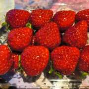 ヒメ日記 2026/01/31 00:34 投稿 神城えりか 五十路マダム愛されたい熟女たち 福山店(カサブランカグループ)