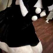 ヒメ日記 2024/12/24 10:19 投稿 なな CHERRY DAYS WEST(チェリーデイズウエスト)