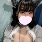 ヒメ日記 2024/12/14 19:52 投稿 ゆき MINT（ミント）