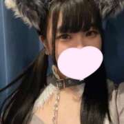 ヒメ日記 2024/12/28 19:35 投稿 ゆき MINT（ミント）