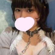 ヒメ日記 2025/01/23 22:11 投稿 ゆき MINT（ミント）