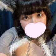 ヒメ日記 2025/02/01 20:16 投稿 ゆき MINT（ミント）