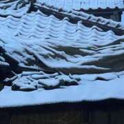 ヒメ日記 2025/03/07 00:05 投稿 ゆき MINT（ミント）