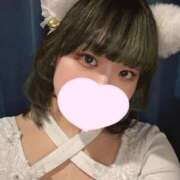 ヒメ日記 2025/04/11 22:16 投稿 ゆき MINT（ミント）