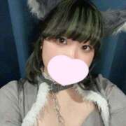 ヒメ日記 2025/04/15 14:10 投稿 ゆき MINT（ミント）