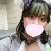 ヒメ日記 2025/04/26 14:30 投稿 ゆき MINT（ミント）