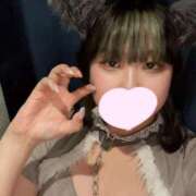 ヒメ日記 2025/04/27 19:13 投稿 ゆき MINT（ミント）