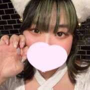 ヒメ日記 2025/04/29 14:40 投稿 ゆき MINT（ミント）