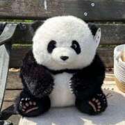 ヒメ日記 2025/05/28 23:34 投稿 ゆき MINT（ミント）