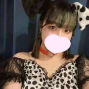 ヒメ日記 2025/06/04 13:34 投稿 ゆき MINT（ミント）