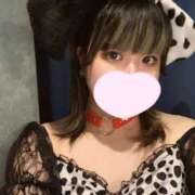 ヒメ日記 2025/06/18 15:37 投稿 ゆき MINT（ミント）