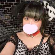 ヒメ日記 2025/06/24 16:26 投稿 ゆき MINT（ミント）