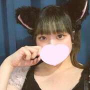 ヒメ日記 2025/06/25 18:59 投稿 ゆき MINT（ミント）