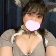 ヒメ日記 2025/06/27 19:18 投稿 ゆき MINT（ミント）