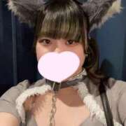 ヒメ日記 2025/07/03 19:46 投稿 ゆき MINT（ミント）