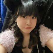 ゆき 🐈‍⬛ MINT（ミント）