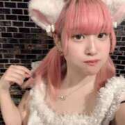 ヒメ日記 2026/09/11 11:31 投稿 ゆき MINT（ミント）