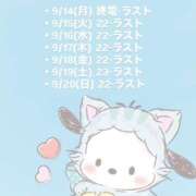 ヒメ日記 2026/09/14 02:43 投稿 ゆき MINT（ミント）