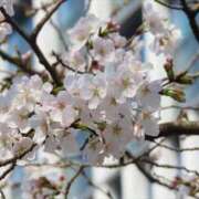 ヒメ日記 2025/03/28 20:31 投稿 小倉 しの Men's relaxation VEGA