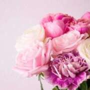 ヒメ日記 2025/04/19 09:30 投稿 小倉 しの Men's relaxation VEGA