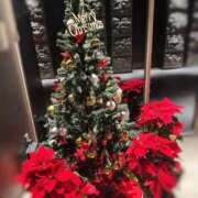 ヒメ日記 2025/12/20 13:00 投稿 小倉 しの Men's relaxation VEGA