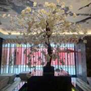 ヒメ日記 2025/12/29 12:58 投稿 小倉 しの Men's relaxation VEGA