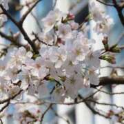 ヒメ日記 2026/04/02 00:23 投稿 小倉 しの Men's relaxation VEGA