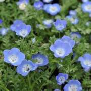 ヒメ日記 2026/07/29 07:19 投稿 小倉 しの Men's relaxation VEGA