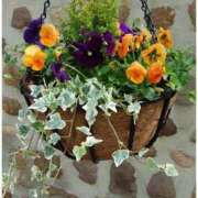 ヒメ日記 2025/02/07 10:11 投稿 ゆかり 完熟ばなな 上野店