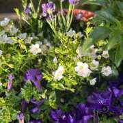 ヒメ日記 2025/02/10 10:45 投稿 ゆかり 完熟ばなな 上野店