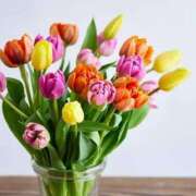 ヒメ日記 2025/03/07 09:05 投稿 ゆかり 完熟ばなな 上野店