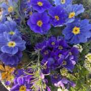 ヒメ日記 2025/03/14 23:20 投稿 ゆかり 完熟ばなな 上野店