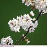 ヒメ日記 2025/03/24 09:01 投稿 ゆかり 完熟ばなな 上野店