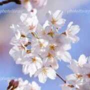 ヒメ日記 2025/03/25 09:01 投稿 ゆかり 完熟ばなな 上野店