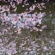 ヒメ日記 2025/04/08 22:20 投稿 ゆかり 完熟ばなな 上野店