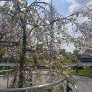 ヒメ日記 2025/04/12 21:31 投稿 ゆかり 完熟ばなな 上野店