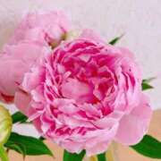 ヒメ日記 2025/05/15 22:30 投稿 ゆかり 完熟ばなな 上野店