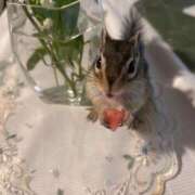 ヒメ日記 2025/05/16 08:00 投稿 ゆかり 完熟ばなな 上野店