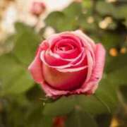 ヒメ日記 2025/05/21 22:01 投稿 ゆかり 完熟ばなな 上野店