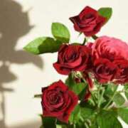 ヒメ日記 2025/05/29 21:01 投稿 ゆかり 完熟ばなな 上野店