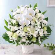 ヒメ日記 2025/06/03 17:01 投稿 ゆかり 完熟ばなな 上野店