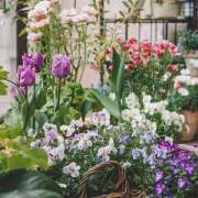 ヒメ日記 2025/07/02 10:20 投稿 ゆかり 完熟ばなな 上野店