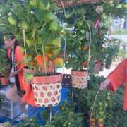 ヒメ日記 2025/07/10 19:20 投稿 ゆかり 完熟ばなな 上野店