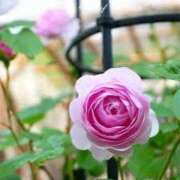 ヒメ日記 2025/07/23 22:50 投稿 ゆかり 完熟ばなな 上野店