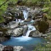 ヒメ日記 2025/08/31 09:56 投稿 ゆかり 完熟ばなな 上野店