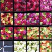 ヒメ日記 2025/09/13 09:50 投稿 ゆかり 完熟ばなな 上野店